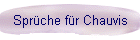 Sprüche für Chauvis